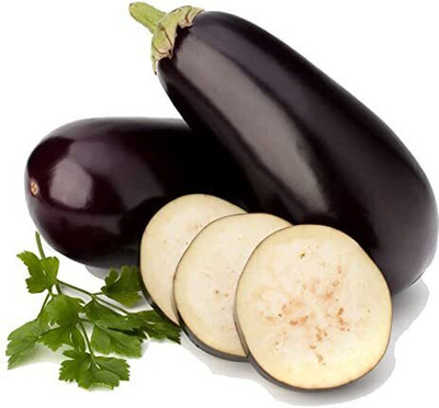 Pbevergreen bengan seeds hybrid / brinjal seeds 45 Seed(45 per packet)