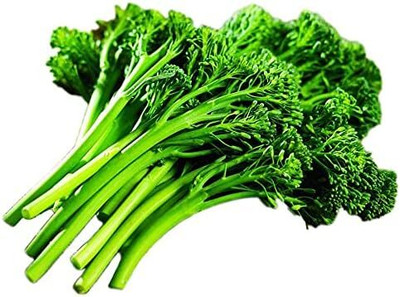 Qualtivate ICRA-8A Aspabroc Hybrid Broccoli Seeds Seed(300 per packet)