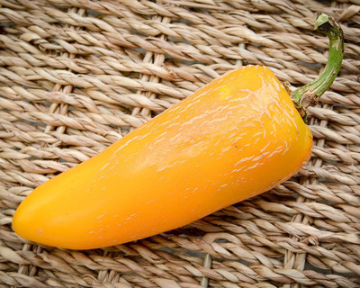 Biosnyg Hybrid Giant Yellow Jalapeno Pepper Seeds For Kitchen Gardening-(400 Seeds) Seed(400 per packet)