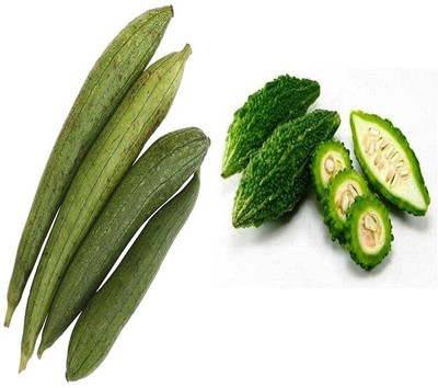 CYBEXIS Combo of Sponge Gourd and Bitter Gourd Seed(10 g)