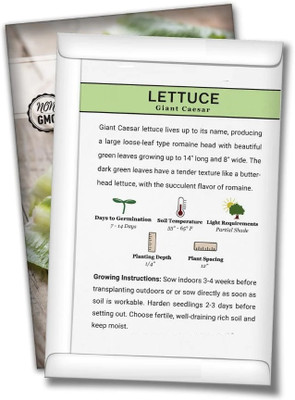 Quentova Giant Caesar Lettuce 0.5gm Seed(400 per packet)