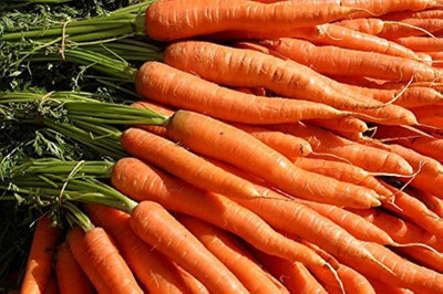 AloGardening Hybrid F1 Carrot/Gajar Vegetables Seeds Seed(20 per packet)