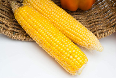 Qualtivate HUA-4A Jubilee Hybrid Yellow Corn Seeds Seed(400 per packet)