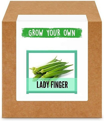 CYBEXIS Lady Finger/Okra/Bhindi400 Seeds Seed(400 per packet)