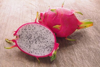 Oliver DRAGON FRUIT SEED Seed(95 per packet)