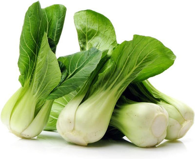 WILLVINE SYN -II Pak Choi Cabbage Seeds for Planting [25g] Seed(7500 per packet)