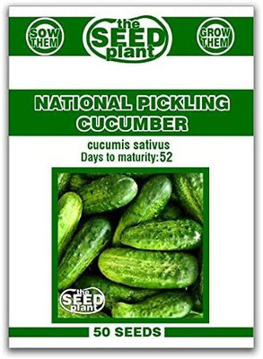 CYBEXIS PAU-79 - National Pickling Cucumber - (150 Seeds) Seed(150 per packet)