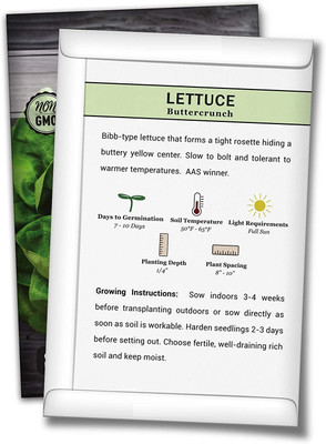 WILLVINE ® Buttercrunch Lettuce Seeds Seed(1000 per packet)