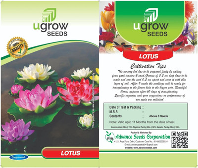 Clint LOTUS FLOWER ,LOUTS SEED,LOUTS PLANT Seed(8 per packet)