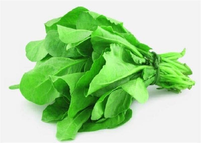 Qualtivate AXL-1AT Palak or Spinach Seeds Seed(300 per packet)