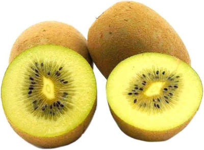KNESSiN Kiwi Actinidia Seeds Seed(25 per packet)