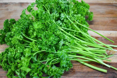 Quentova Triple Moss Curled Parsley-DLX-6P Seed(150 per packet)