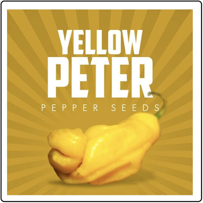 Biosnyg F1 Hybrid Yellow Willy Pepper Vegetable Seeds For Gardening-(2000 Seeds) Seed(2000 per packet)