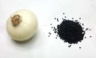 WILLVINE TLX-911 GREEN WHITE ONION SEEDS-3000 Seeds Seed(3000 per packet)