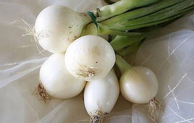 Jignishaseeds Onion Seeds For Vegetable Garden, Desi Vegetable Seeds, Shallot Seeds Seed(500 per packet)
