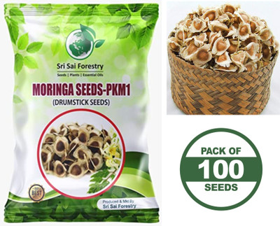 SRI SAI FORESTRY MORINGA SEEDS PKM1 HYBRID - DRUMSTICK PLANT Seed(100 per packet)