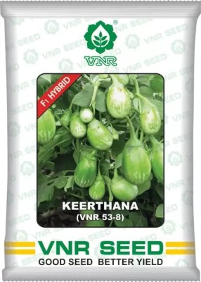 Farmers Choice vnr KEERTHANA hybrid brinjal Seed (10 g) Seed(55 per packet)