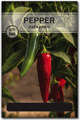 Biosnyg YRS-31 Jalapeno Pepper Chilli Seed-[800 Seeds] Seed(800 per packet)