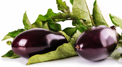 UGRA Brinjal Seed(3000 per packet)