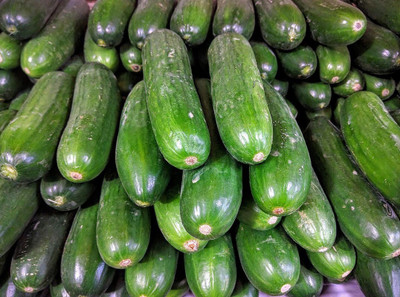 Hybrid Galaxy Fresh VNR Cucumber Vegetable Hybrid Seed(300 per packet)