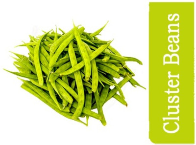 WATIKA Cluster Beans Seed(500 per packet)