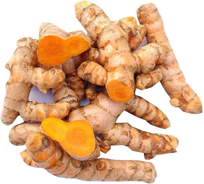 GREENSEA Organic Raw Turmeric, Kachi Haldi Seed(25 per packet)