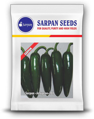 the green dotcom CHILLI HOT PEPPER Seed(105 per packet)