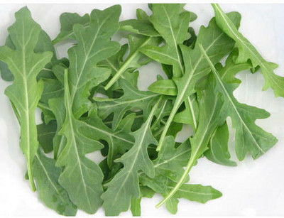 Mozette Rocket Leaf Seed(17 per packet)