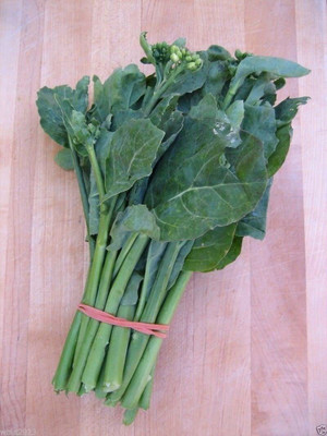 WILLVINE LX-338 Chinese Broccoli Seeds,Kai Lan,Gai Lan Seed(200 per packet)