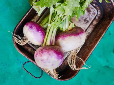 MYLAWN Turnip Purple Top Seed(800 per packet)