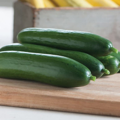 VibeX HUA-65 - Cucumber Slicing Diva(Green) - (1350 Seeds) Seed(1350 per packet)
