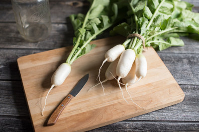 Avysa Mini Mak Radish Seed Seed(1000 per packet)