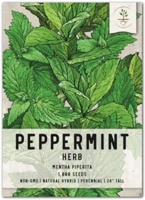 Qualtivate HUA-3A Peppermint Seeds(Mentha piperita) Seed(200 per packet)