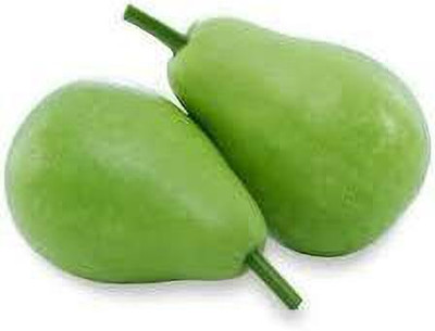 wequality Hybrid Round bottle gourd/Louki seeds for home plant Seed(85 per packet)