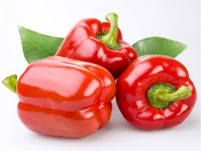 VASUDHA Capsicum Red Organic Seed(100 per packet)