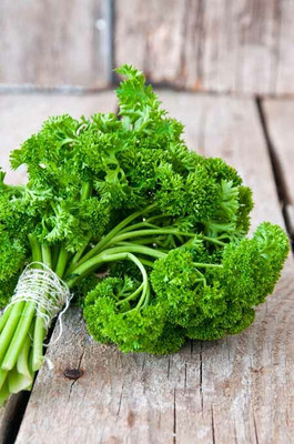 SOWCAN Parsley Moss Curled - Herb Seed(100 per packet)