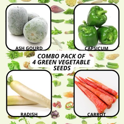 CYBEXIS Green Vegetable ASHGOURD,CAPSICUM,RADISH,CARROT Seed(10 g)