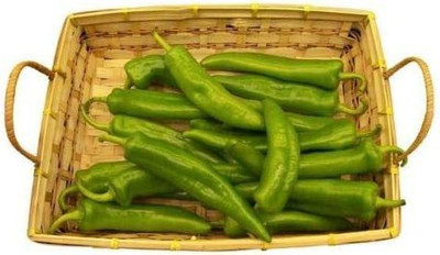 CYBEXIS Hardy Chilli Pepper Anaheim Seeds2400 Seeds Seed(2400 per packet)