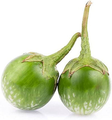 BDSresolve brinjal seeds Seed(42 per packet)