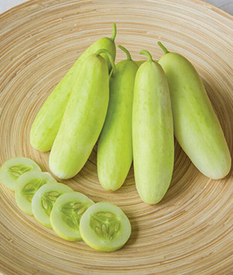 Quentova Cucumber Seeds , Honey Plus Hybrid Cucumber Seeds-CTU-7P Seed(200 per packet)