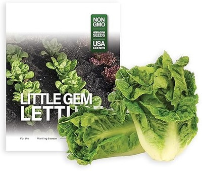 Quentova Little Gem Lettuce 2.5gm Seed(2000 per packet)