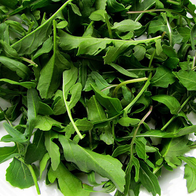 CYBEXIS LX-64 - Rocket Arugula - (2250 Seeds) Seed(2250 per packet)