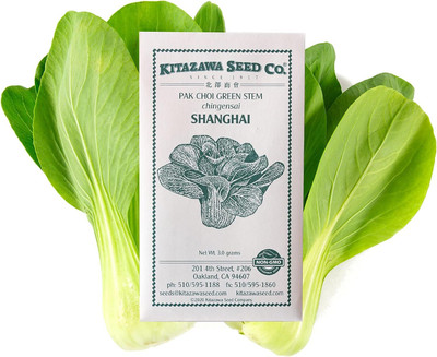 WILLVINE PUAS -II Cabbage Seeds - Pak Choi - Shanghai [50g] Seed(15000 per packet)