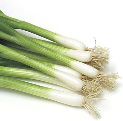 VibeX TLX-41 - Damast Bunching Green Onion - (4500 Seeds) Seed(4500 per packet)