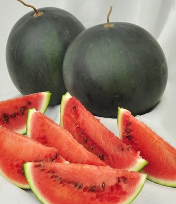 EMKOT Watermelon Sugar Baby Organic Seed(50 per packet)