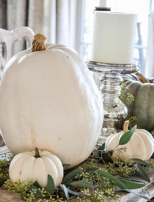 KNESSiN Non-GMO Casper White Pumpkin Seeds For Kitchen Gardening (200 Seeds) Seed(200 per packet)