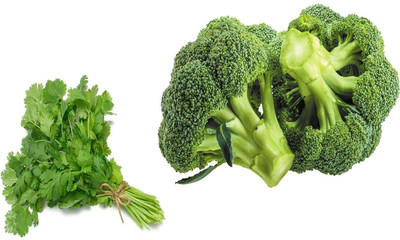 CYBEXIS Combo of Broccoli and Coriander Seed(10 g)