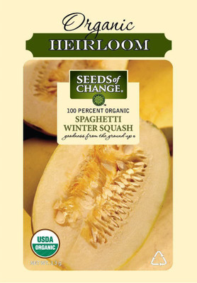 VibeX ® VXI-34 Certified Spaghetti Winter Squash, Yellow Seed(100 per packet)