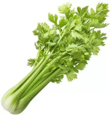 MAA Celery, Ajmod Seed(46 per packet)