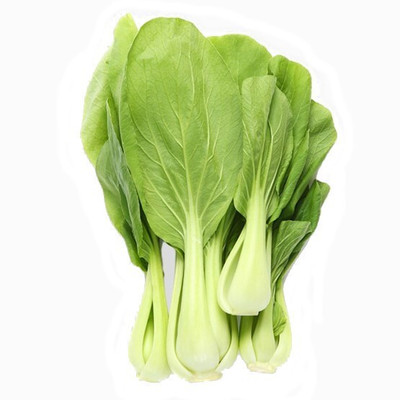 Quentova Pak Choi - Chinese cabbage-KTL-5A Seed(300 per packet)